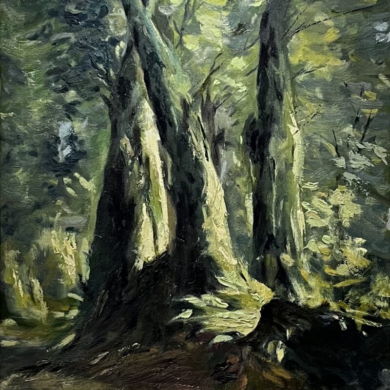 رقص نور